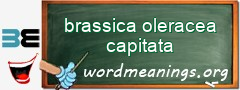 WordMeaning blackboard for brassica oleracea capitata